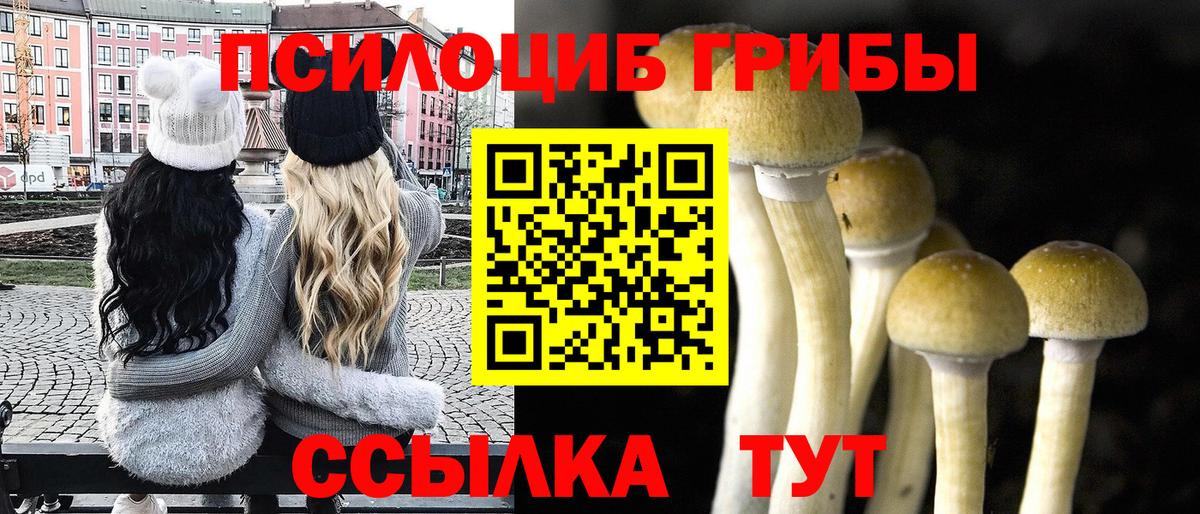 Воскресенск  Галлюциногенные грибы MAGIC MUSHROOMS  дарнет шоп  Вход с VPN 